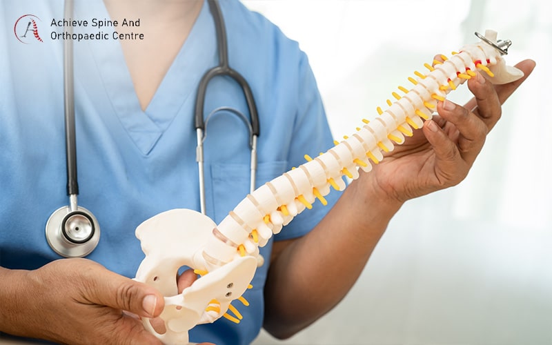 Doctor holding a human spine model