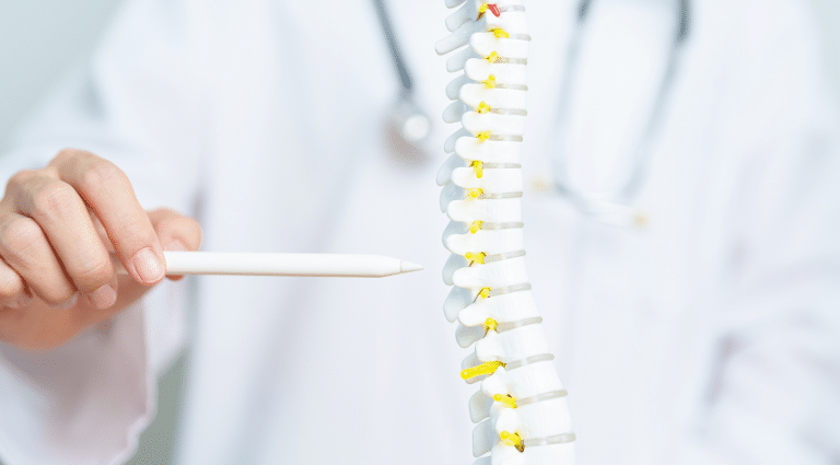 Doctor pointing at spine model to describe vertebral discs and spinal nerves.